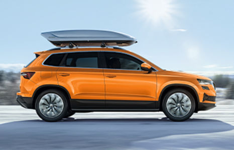 Skoda Aktion
