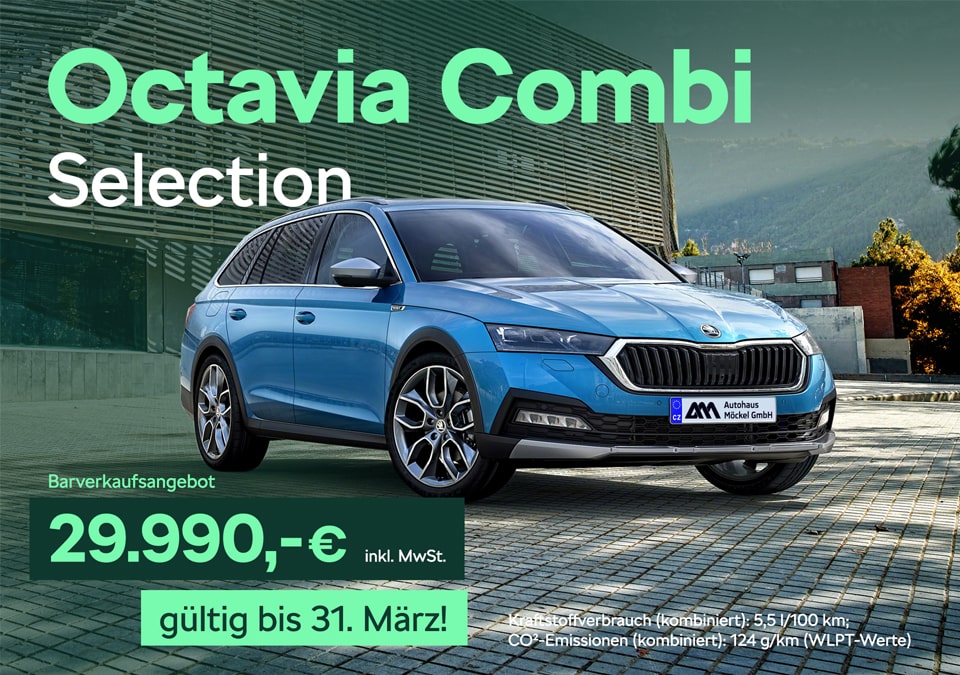 Skoda Octavia Combi Selection Verkaufs­angebot