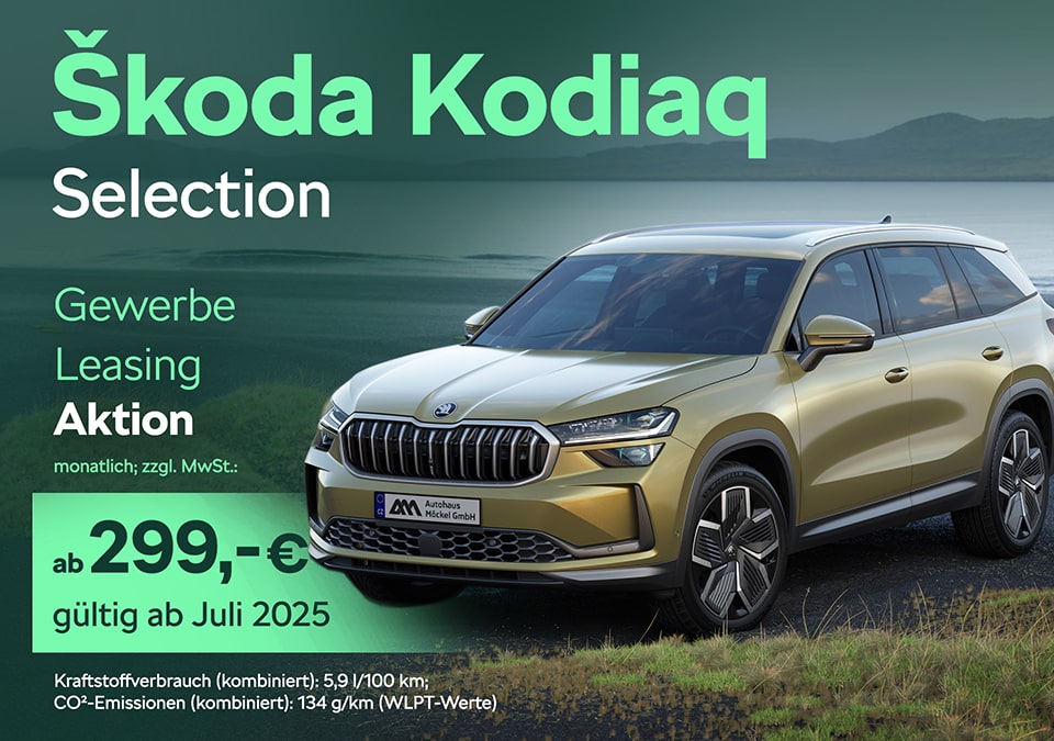Kodiaq Business (Website)-min