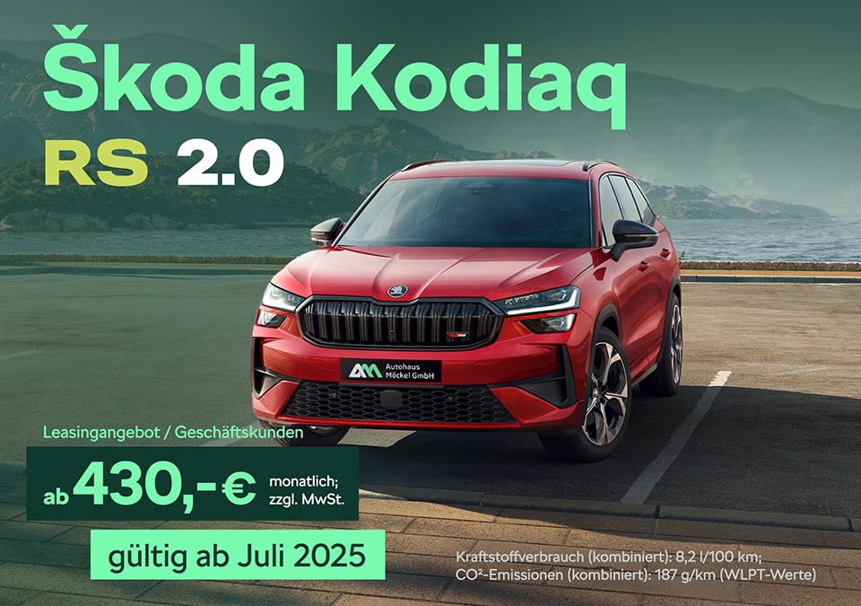 Kodiaq RS Business (Website)-min