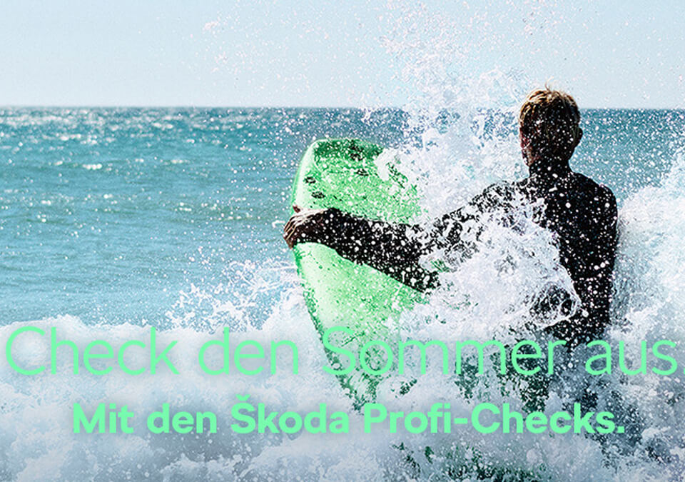 Check den Sommer aus. Mit den Škoda Profi-Checks.